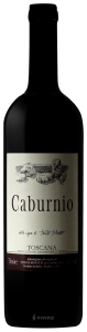 Tenuta Monteti Caburnio 2008