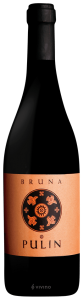 Bruna Pulin 2016