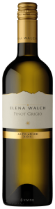 Elena Walch Pinot Grigio (Selezione) 2019