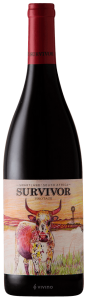 Survivor Pinotage 2018