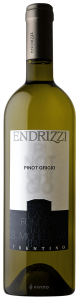 Endrizzi Pinot Grigio Trentino 2019