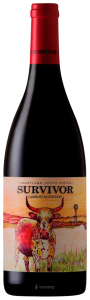 Survivor Cabernet Sauvignon 2016