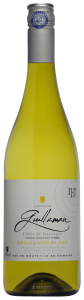 Domaine Guillaman Sauvignon Blanc 2019